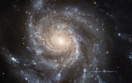 galaxy š1